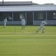cricket june 09 020.JPG